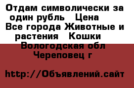 Отдам символически за один рубль › Цена ­ 1 - Все города Животные и растения » Кошки   . Вологодская обл.,Череповец г.